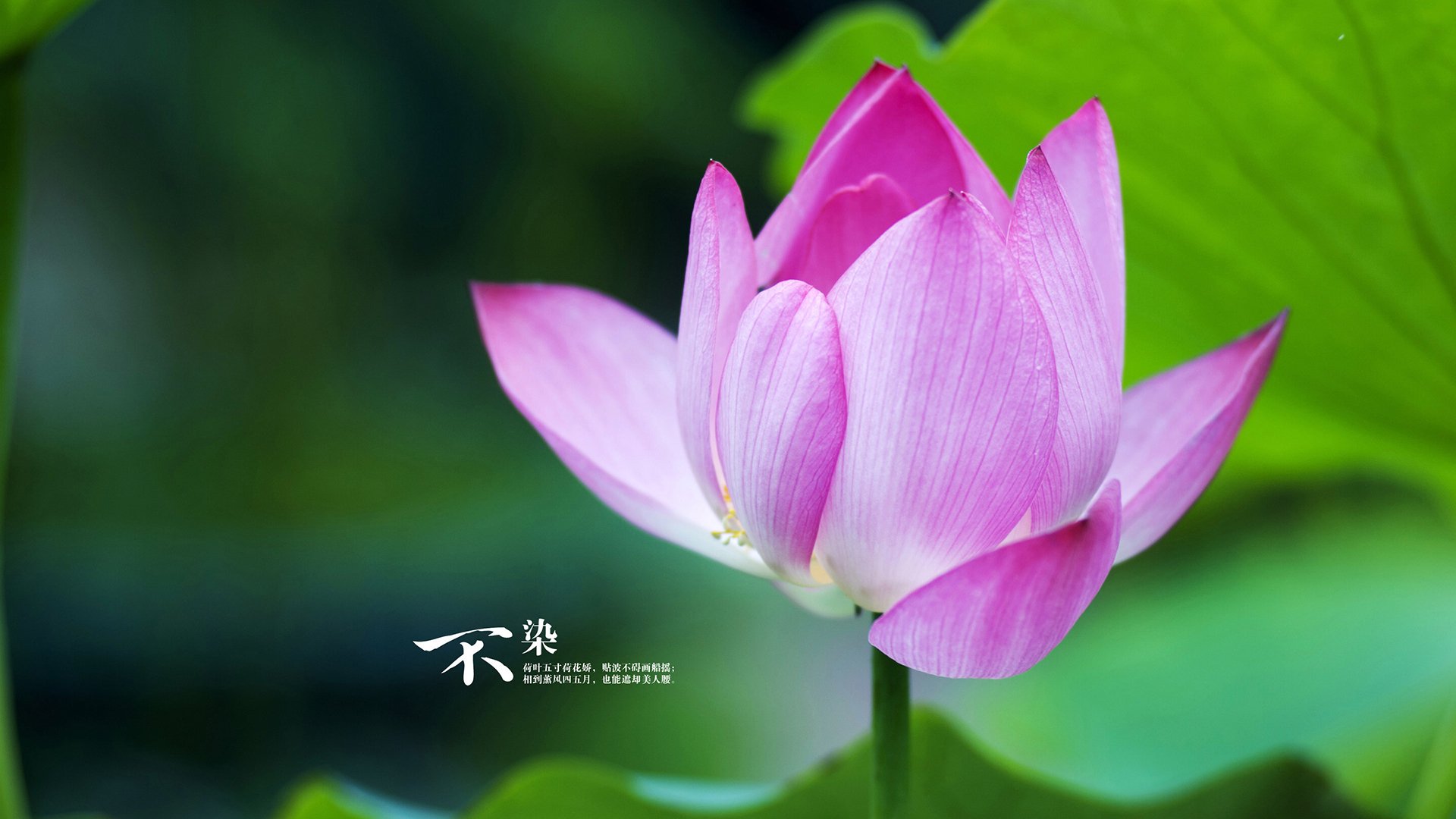 FB体育官方网站-_NBA超级对决！两巨头世纪之战点燃全场_，nba和超级碗