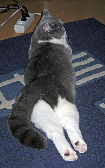 “环球巡回:五洲极限赛场大盘点”,五洲记录