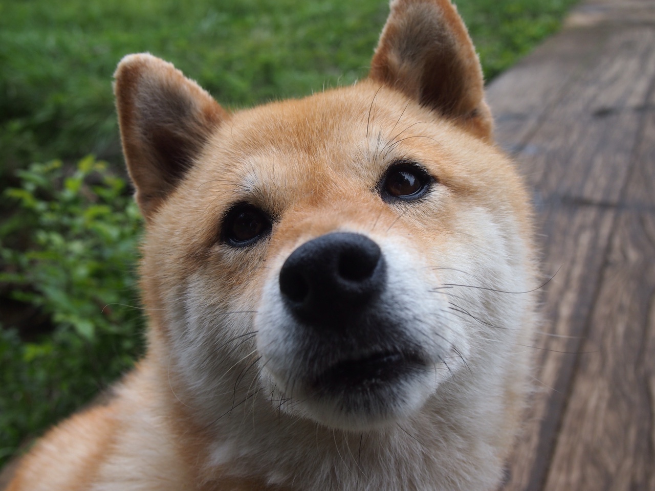 FB体育官方网站-“法甲近期比赛精彩连连，强队纷纷发力争夺排名”，法甲最新比赛