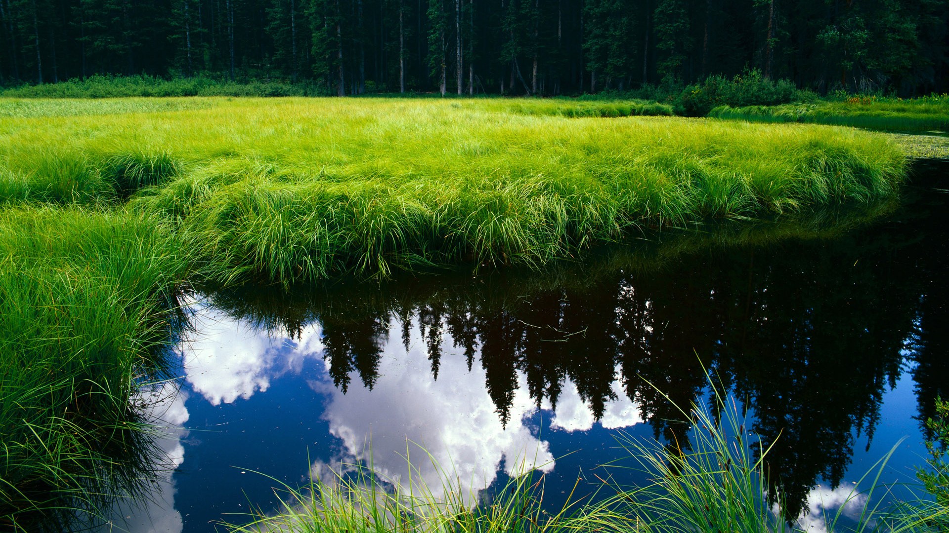 “速度的艺术”：漂移技巧在WRC中的极致表现，wrc8漂移