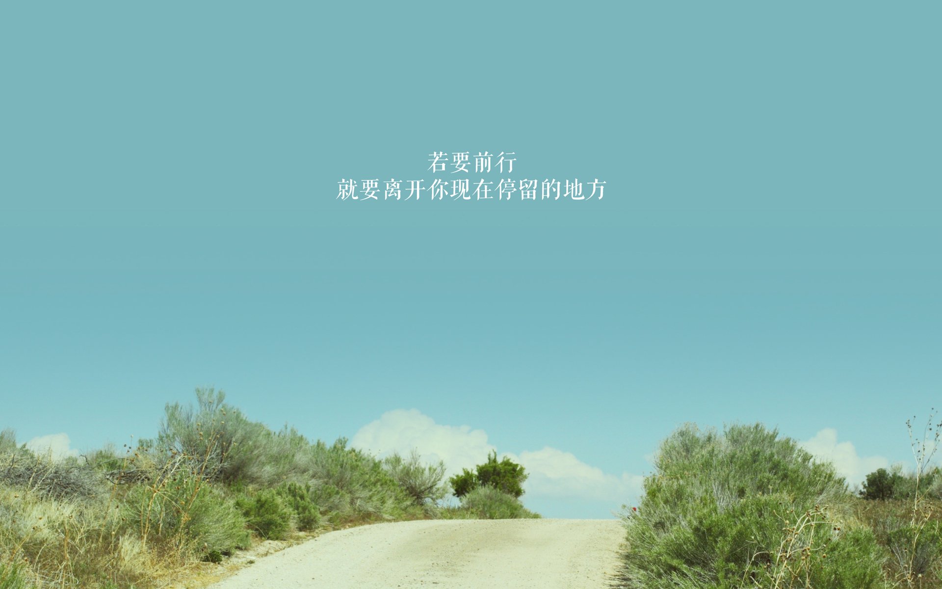 台球运动的“新面孔”：青年运动员崭露头角，台球选手年轻