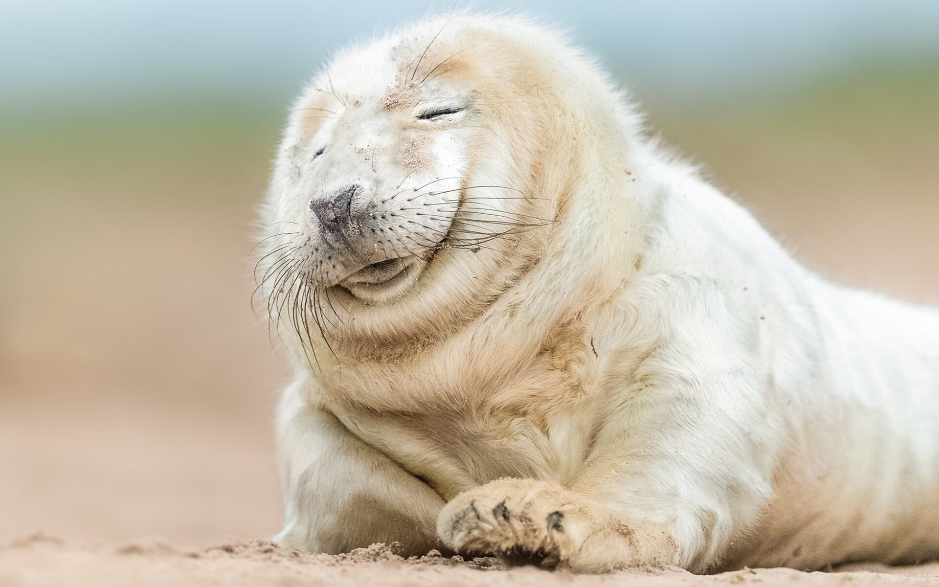 FB体育娱乐-CBA赛季吸引大量观众关注，cba联赛如火如荼,随着比赛场次的密集