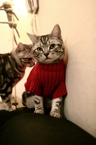 东亚杯国足战平 球迷呼吁提升整体实力，东亚杯国足1比2日本