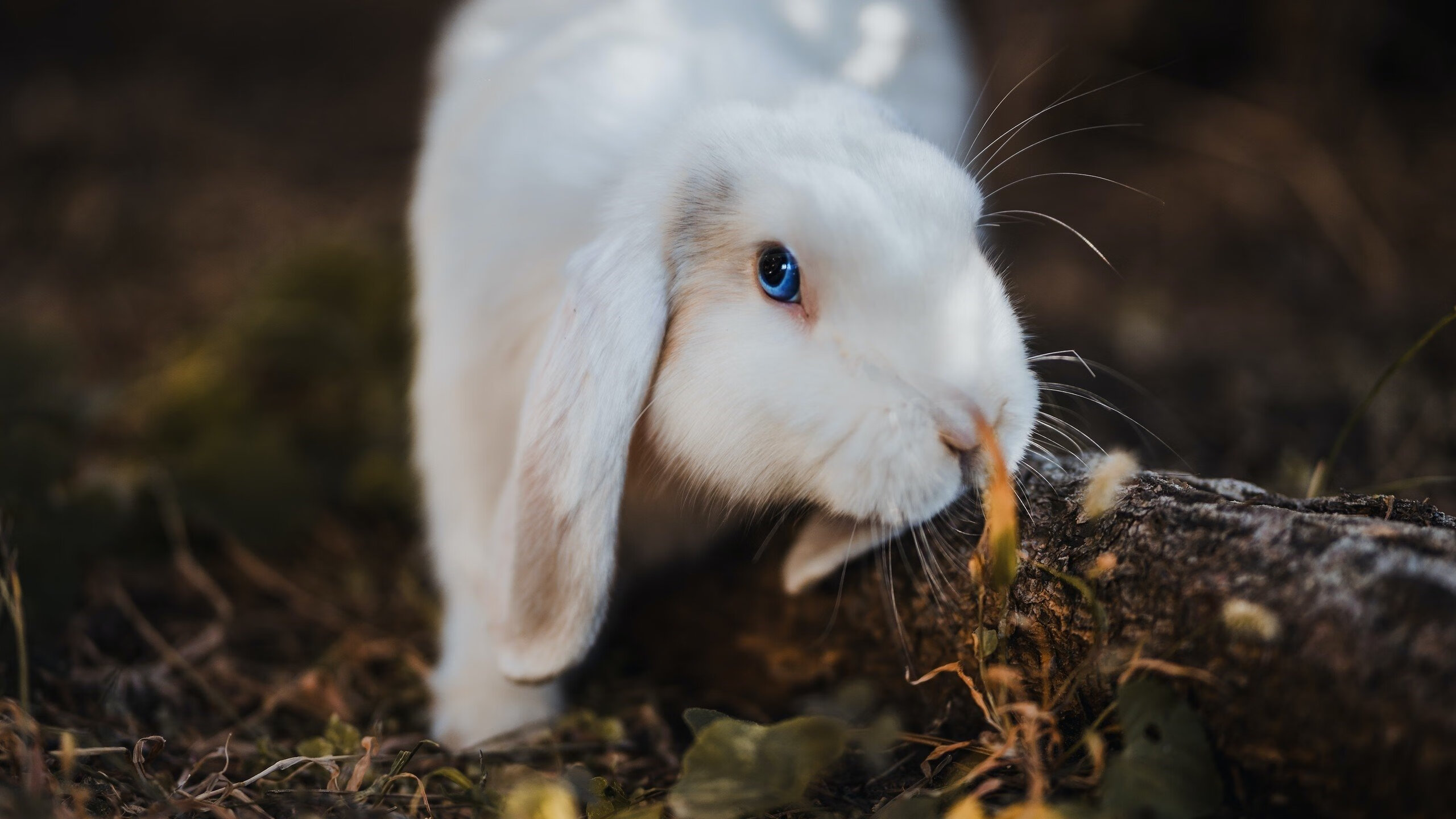 体育新闻中心推动体育赛事多元化内容产品开发，体育赛事有哪些推广策略